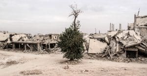 homagetokobane-final
